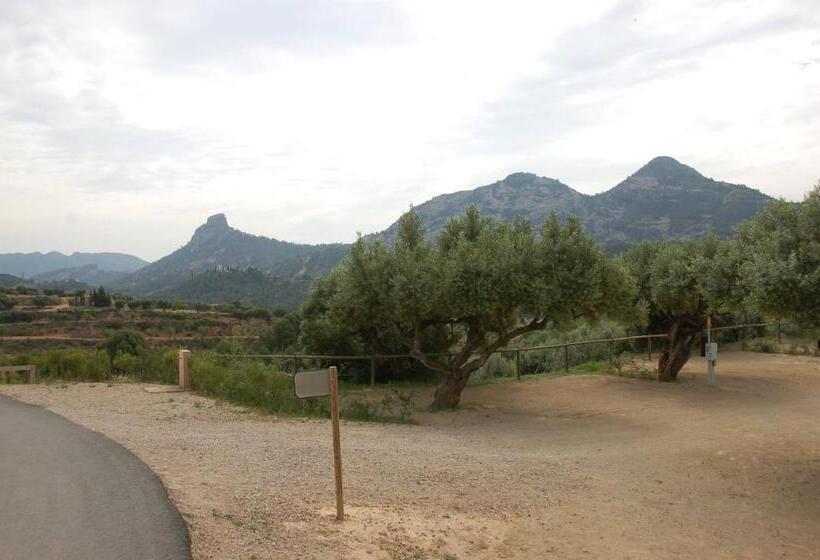 住所  Camping Terra Alta