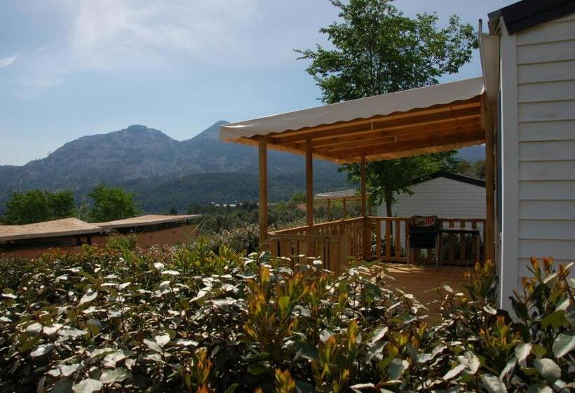 住所  Camping Terra Alta