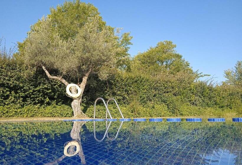 住所  Camping Terra Alta