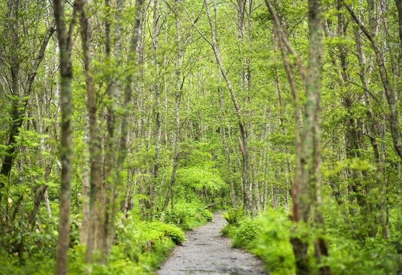 Ryokan Hirayuonsen Yamatokan