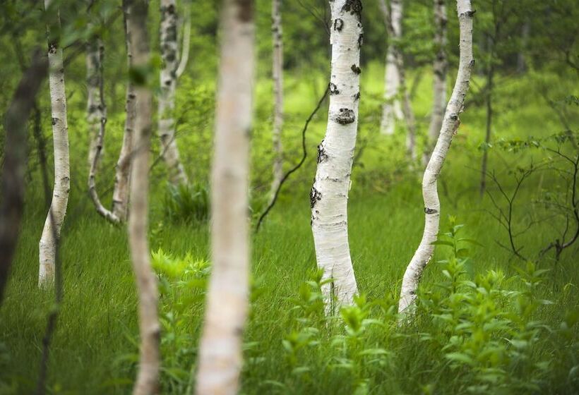 Ryokan Hirayuonsen Yamatokan