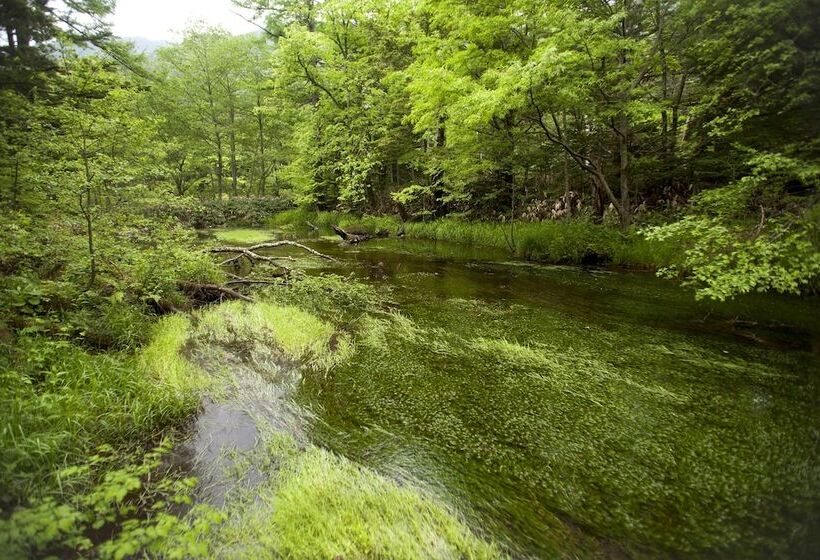 Ryokan Hirayuonsen Yamatokan