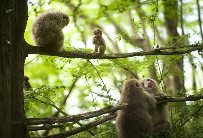 Ryokan Hirayuonsen Yamatokan