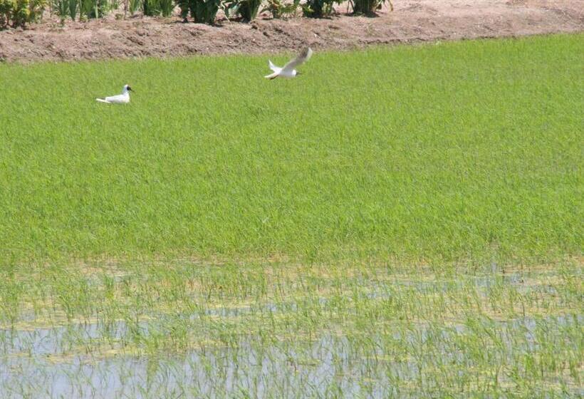 B&b Casa Rural Mas Del Rey