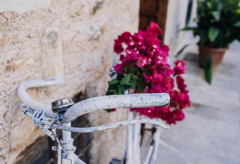 تختخواب و صبحانه Can Solaies