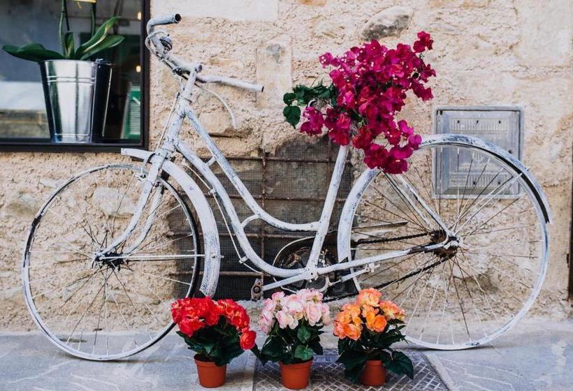 تختخواب و صبحانه Can Solaies