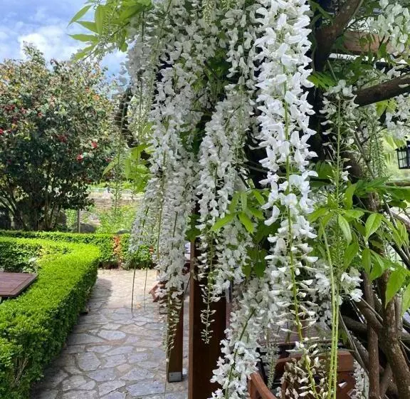 تختخواب و صبحانه El Balcón Del Eume, Cantina Río Covés