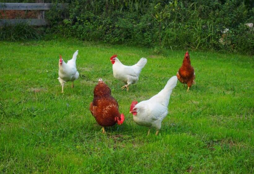 צימר El Rincón De Escalante