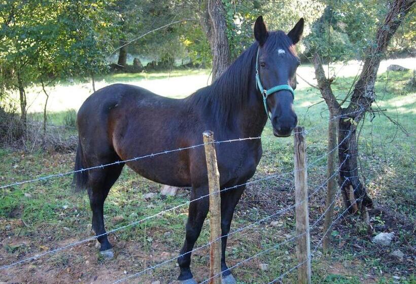 צימר El Rincón De Escalante