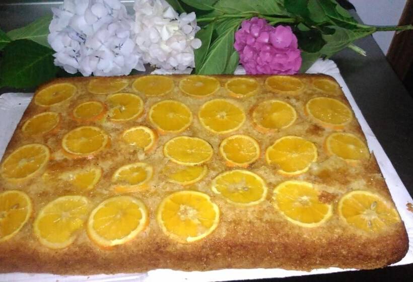 فندق El Rincón De Yaxu