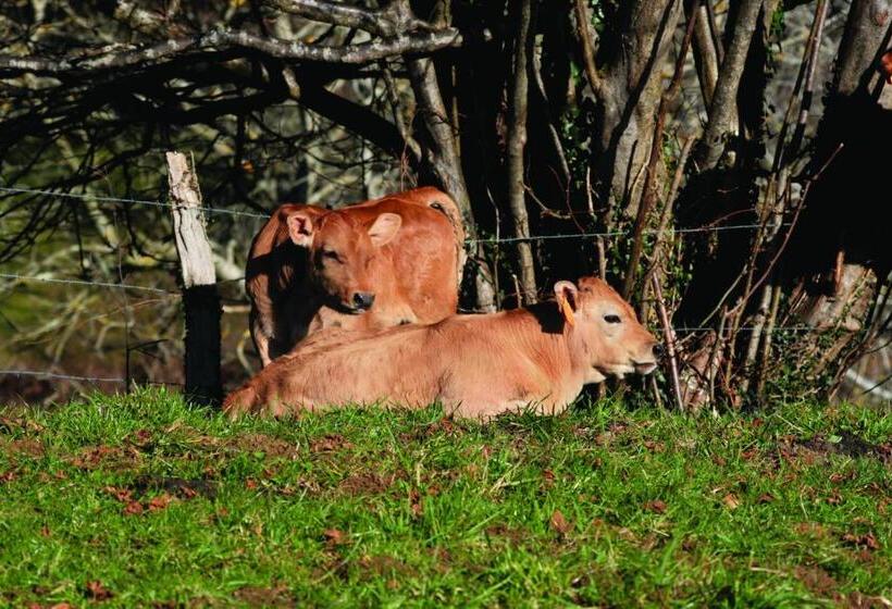 فندق La Posada Del Rey