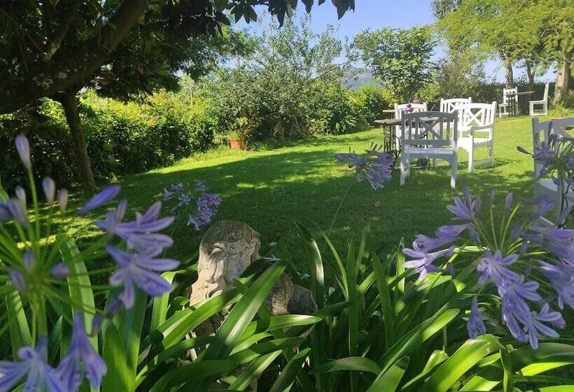 Отель Posada Rio Cubas