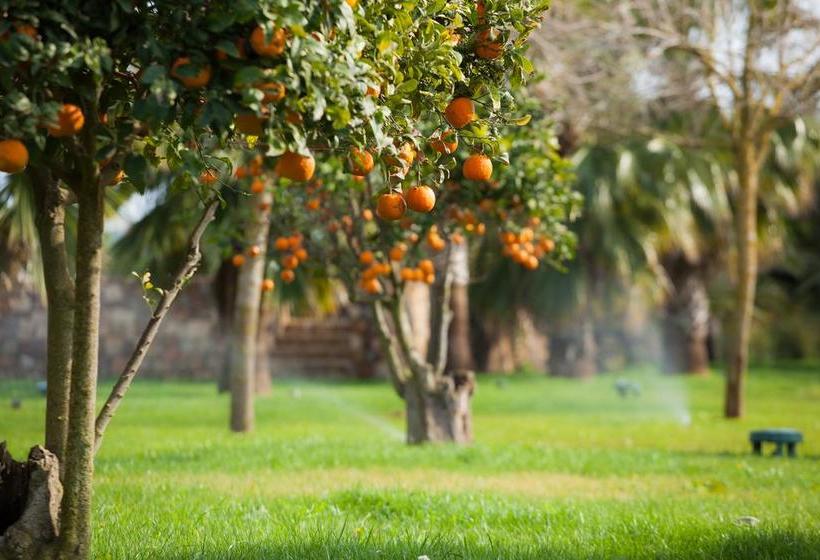 בית מלון כפרי Rural Xereca