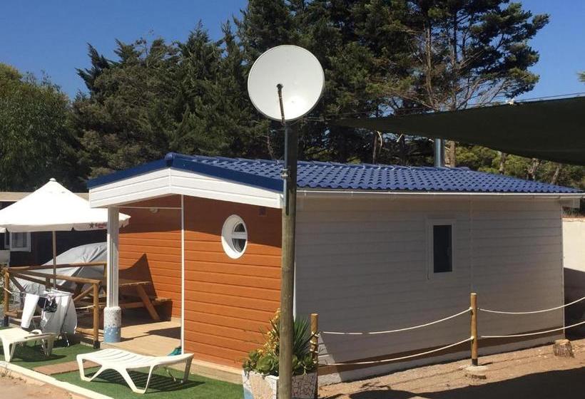 Resort Camping Didota