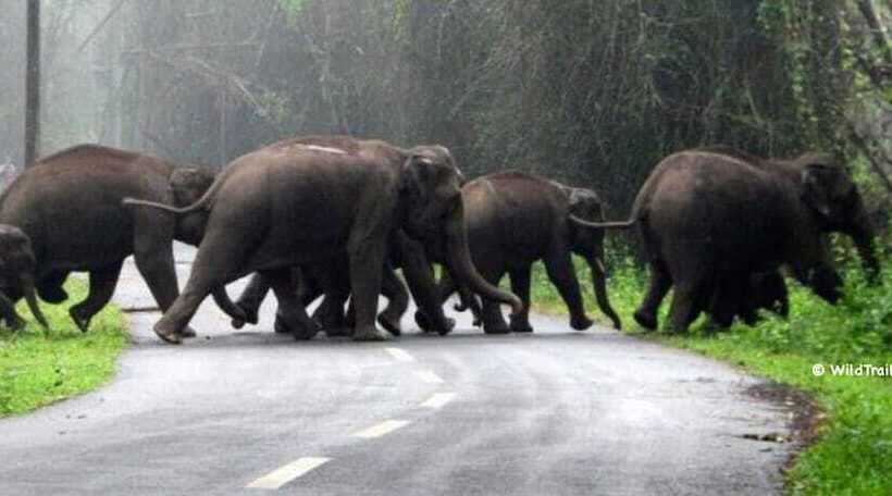 בית מלון כפרי Great Jubilee