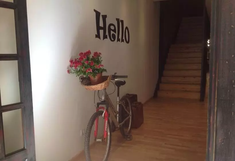 Olé Backpackers Hostel