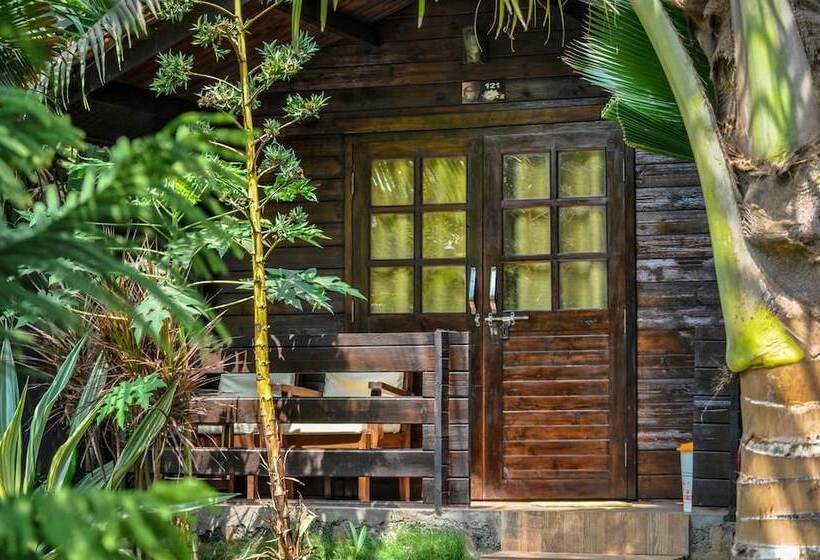 渡假胜地 Lotus Sutra