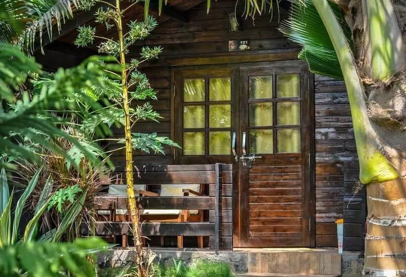 Resort Lotus Sutra