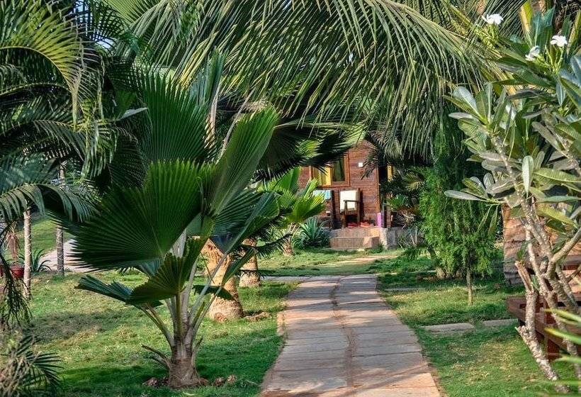 渡假胜地 Lotus Sutra