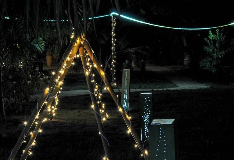 渡假胜地 Lotus Sutra