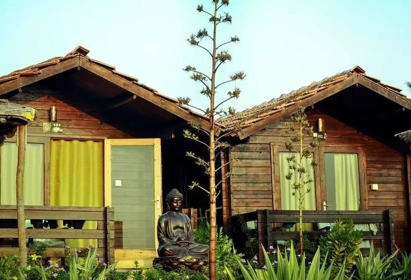 Resort Lotus Sutra