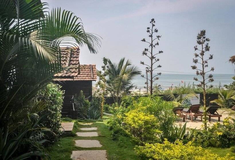 渡假胜地 Lotus Sutra