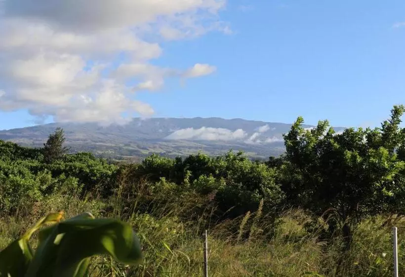 Aamiaismajoitus (B&B) God S Peace Of Maui