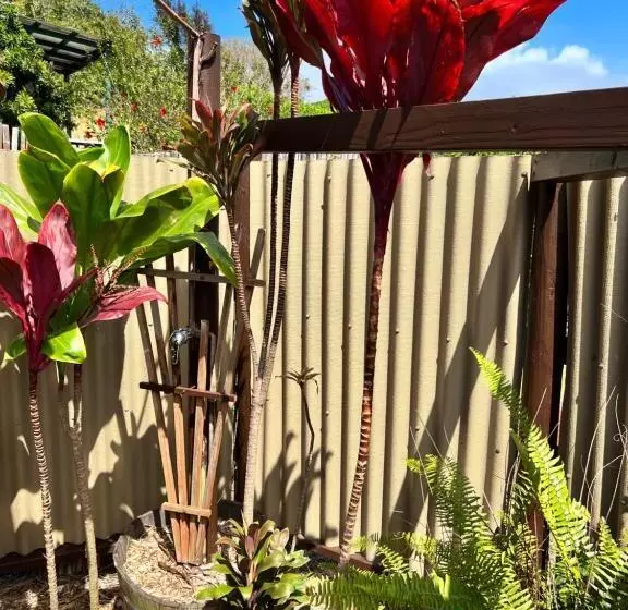 Aamiaismajoitus (B&B) God S Peace Of Maui