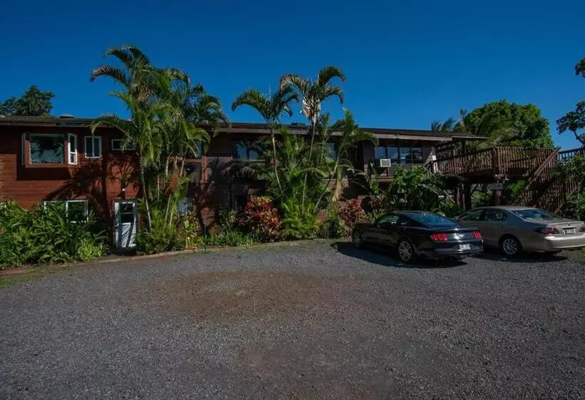 Aamiaismajoitus (B&B) God S Peace Of Maui