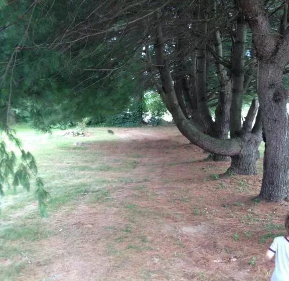 تختخواب و صبحانه Sam’s Cottage On The Greens