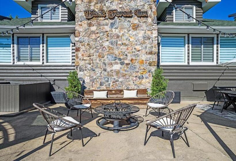 Black Forest Inn Bed & Breakfast