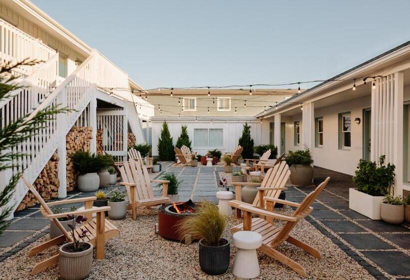 Daunts Albatross Motel