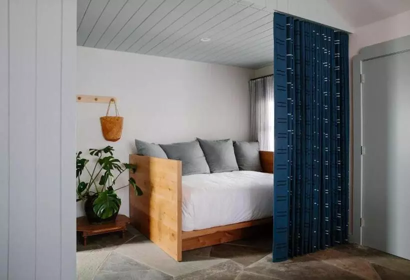 Daunts Albatross Motel