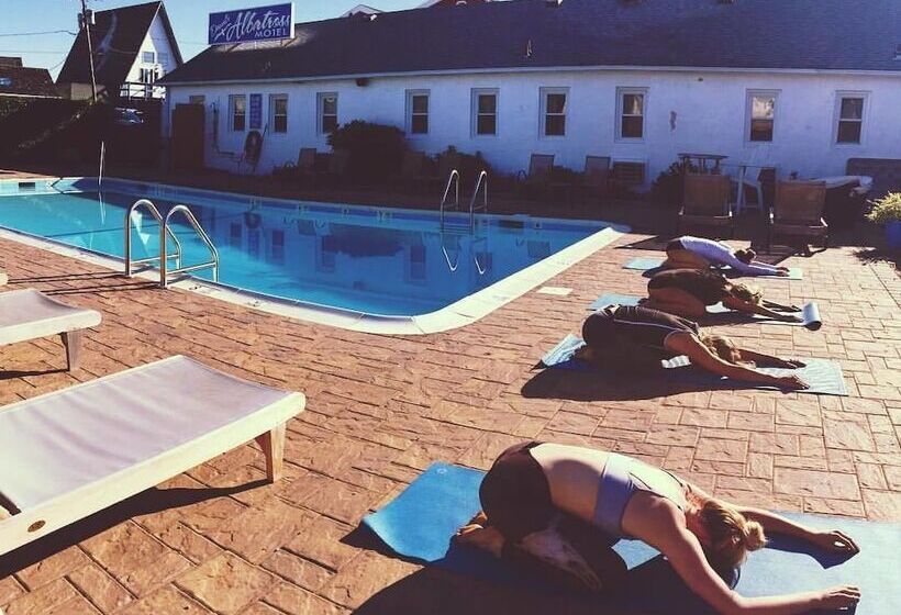 Daunts Albatross Motel