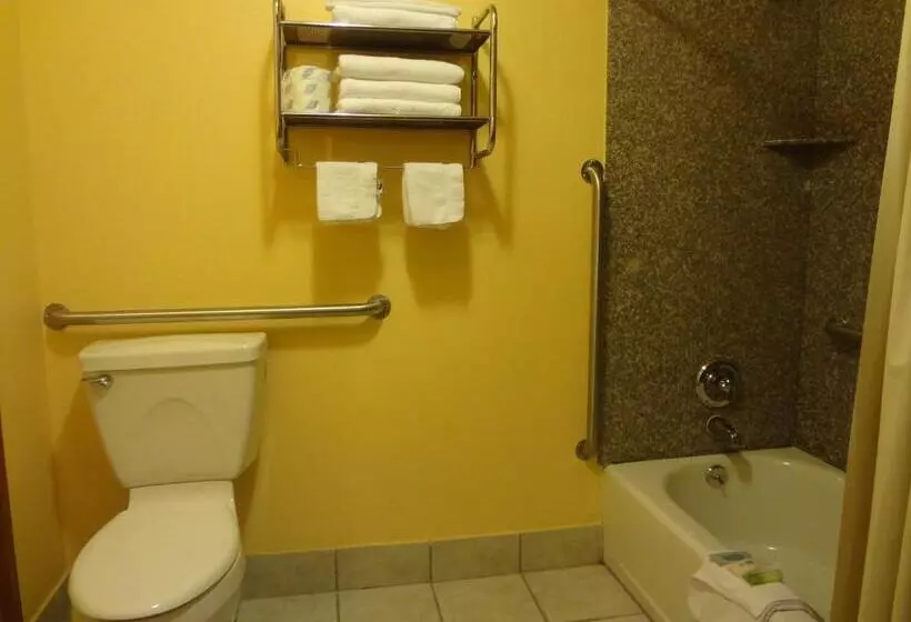 Hotelli Antlers Inn Goliad