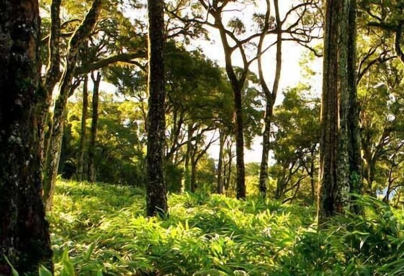 리조트 Mountain Trail By Dimora