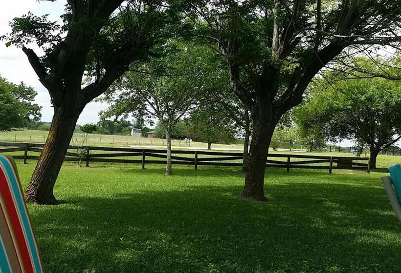 The Hoffmann Vacation Rental Bed & Breakfast