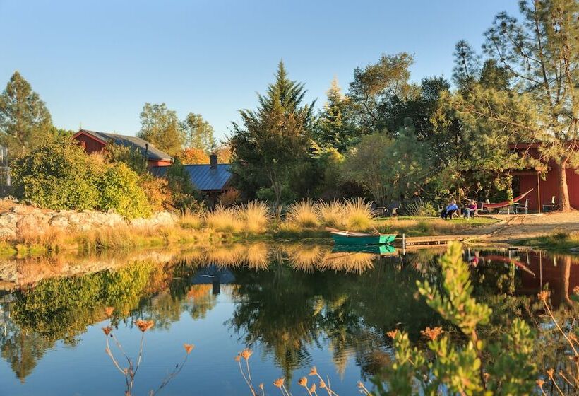 مبيت وإفطار Eden Vale Inn