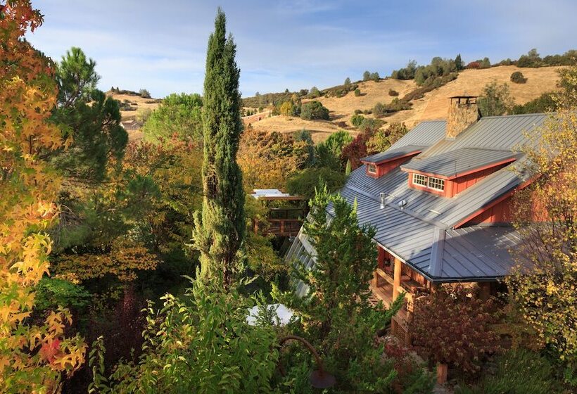 مبيت وإفطار Eden Vale Inn