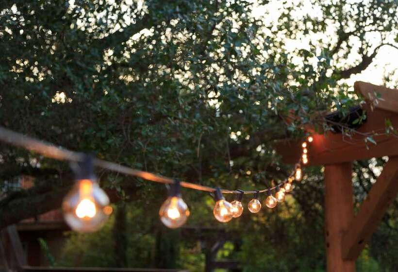 مبيت وإفطار Eden Vale Inn