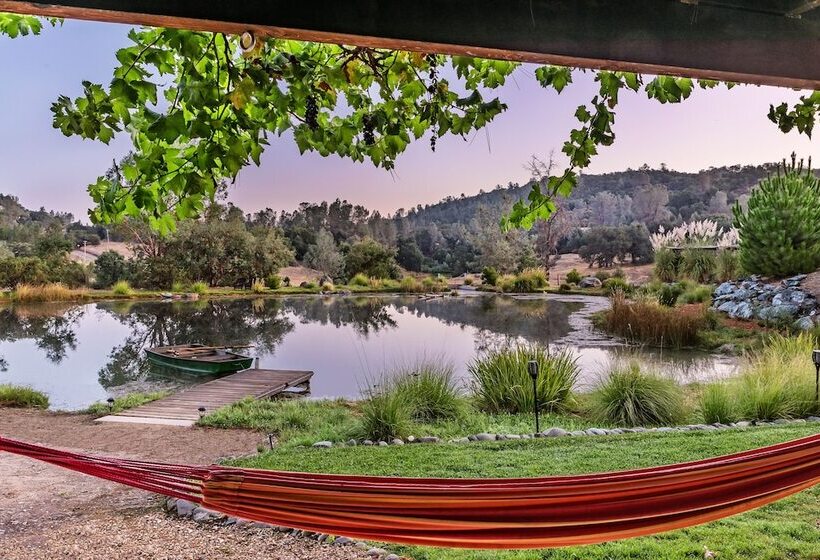 مبيت وإفطار Eden Vale Inn