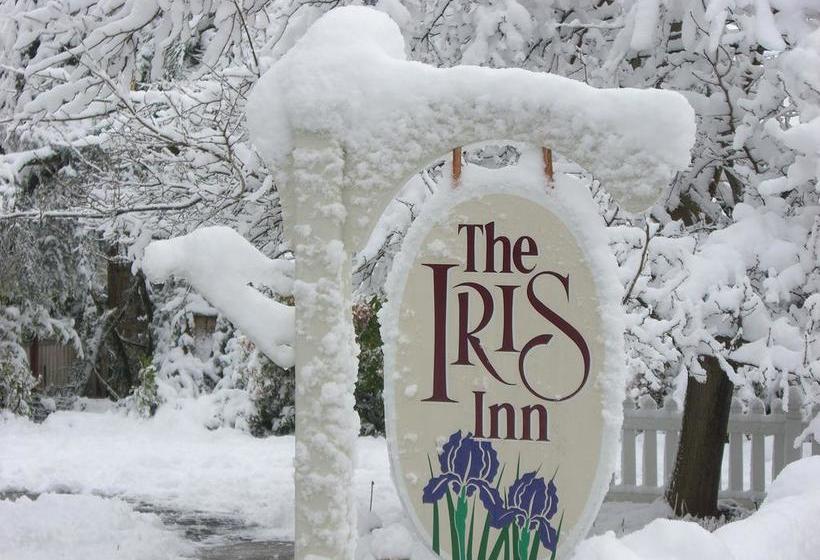 住宿加早餐  Iris Inn