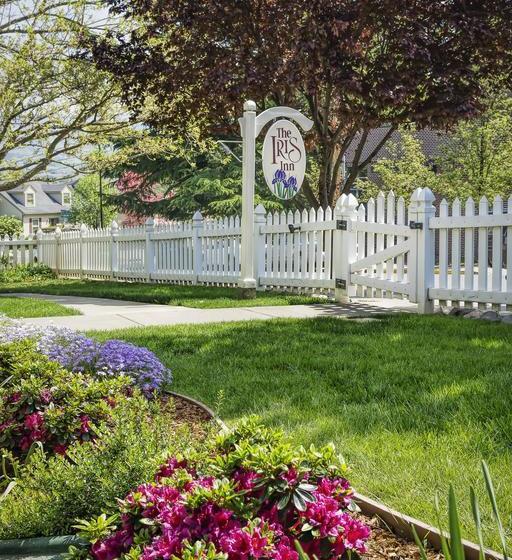 住宿加早餐  Iris Inn