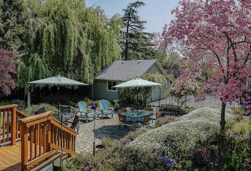 住宿加早餐  Iris Inn