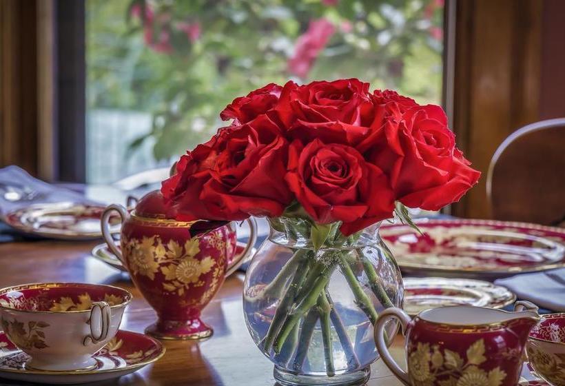 住宿加早餐  Iris Inn