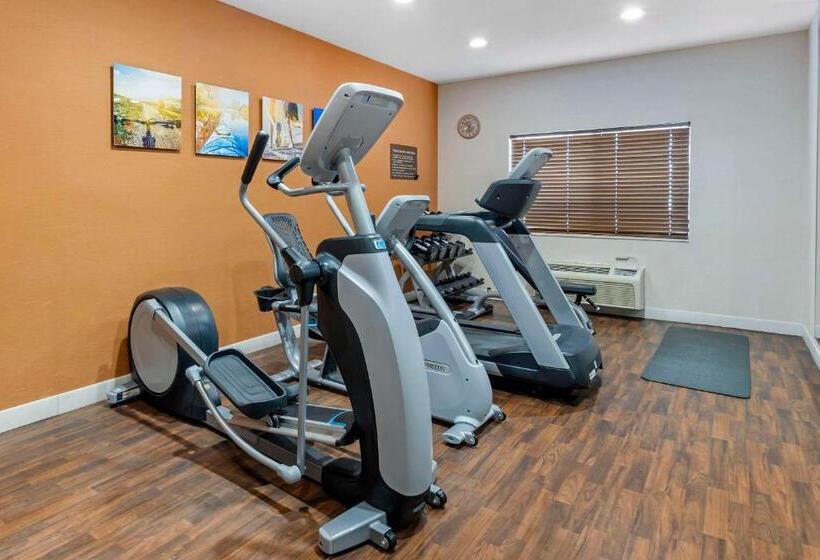 Отель Comfort Suites Normal University Area