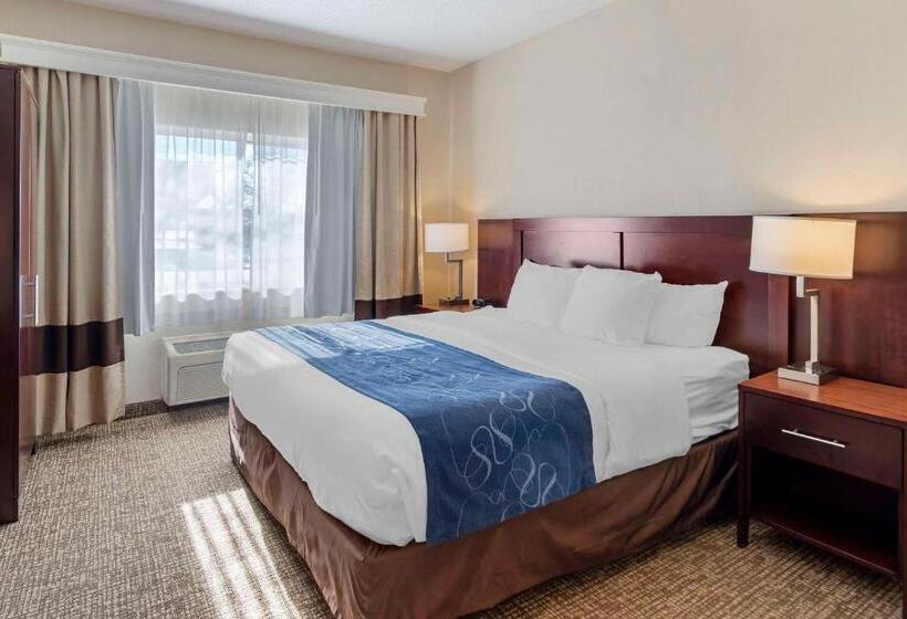 Отель Comfort Suites Normal University Area