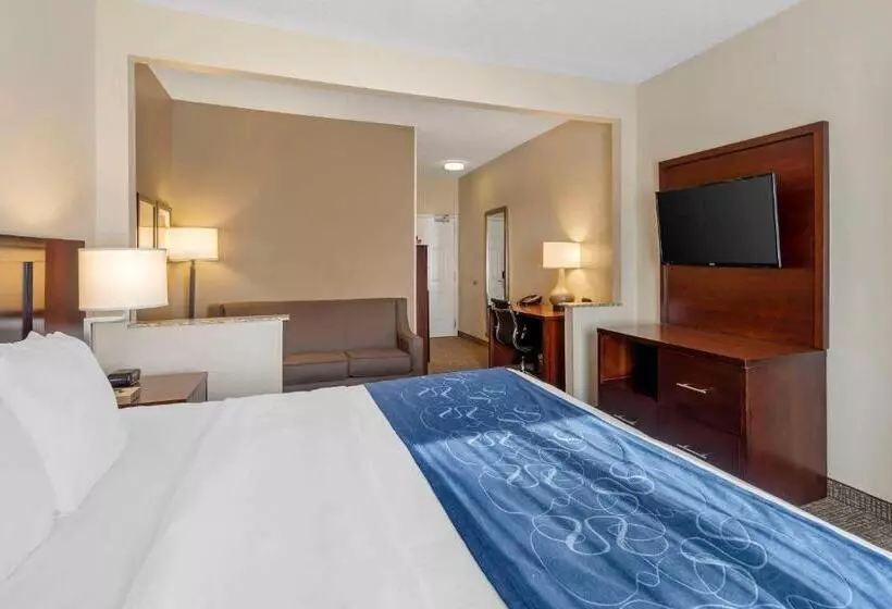 ホテル Comfort Suites Normal University Area