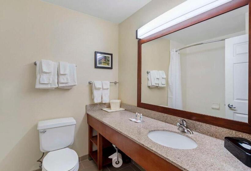 Отель Comfort Suites Normal University Area