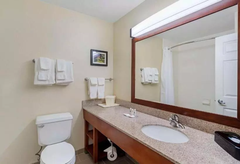 ホテル Comfort Suites Normal University Area